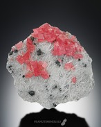 ロードクロサイト / クォーツ / テトラへドライト / フローライト【Rhodochrosite on Quartz with Tetrahedrite & Fluorite】アメリカ産