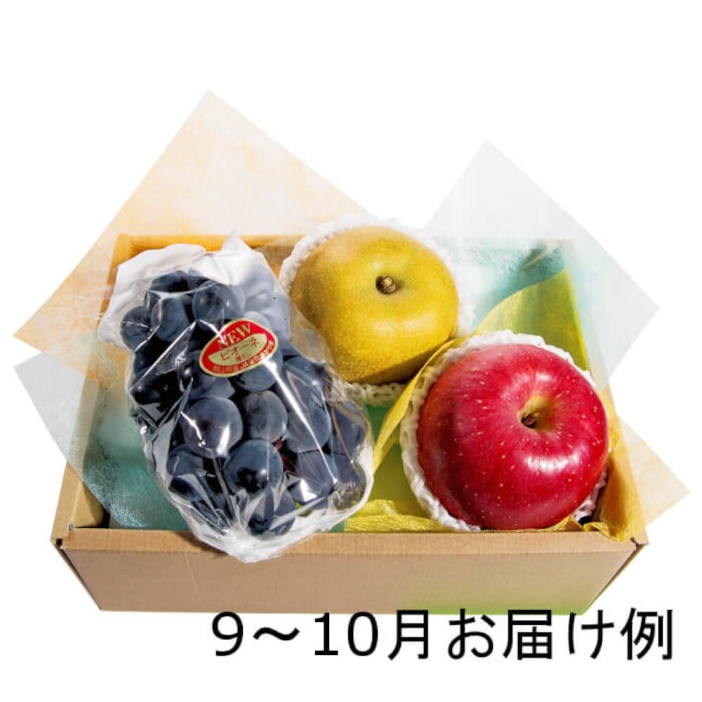 ♪　送料無料　おまかせ旬のフルーツBOX　ホシフルーツ　C　Hugmina-ハグミナ　オンライン