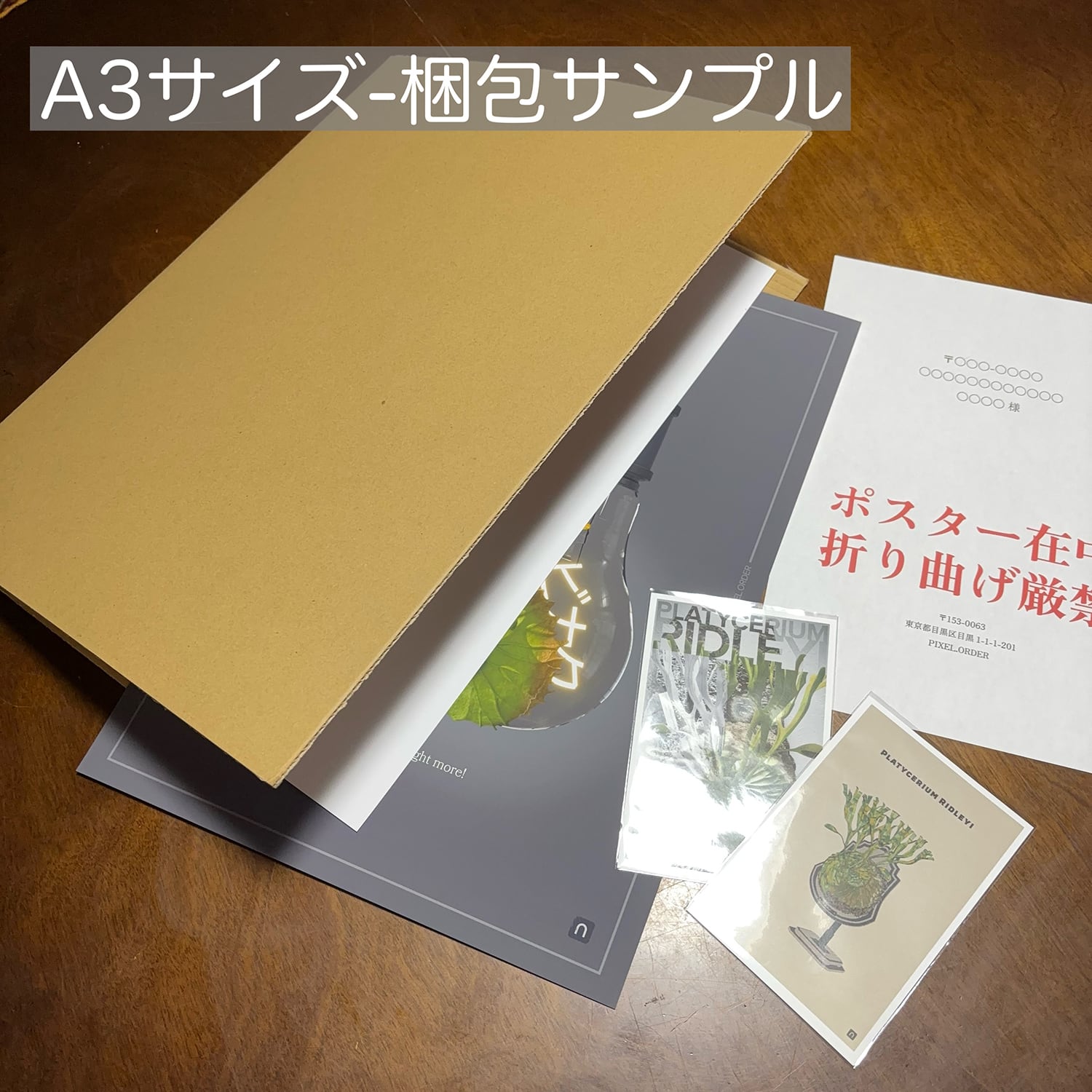 アガベ ポスター【 TITANOTA -白鯨- 】GRAY 植物アート 観葉植物