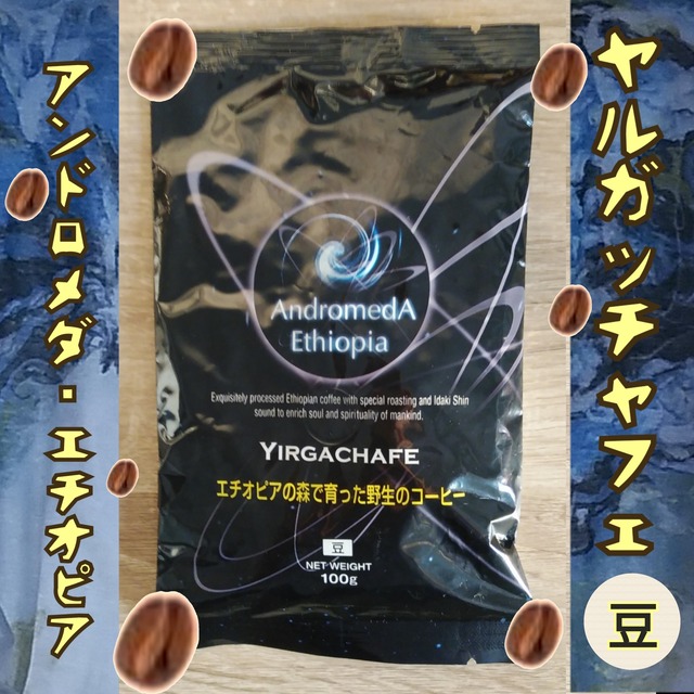 希少な野性のコーヒー豆☆自然のお手入れ 最高品質 アンドロメダ エチオピア コーヒー「ヤルガッチャフェ」100g豆