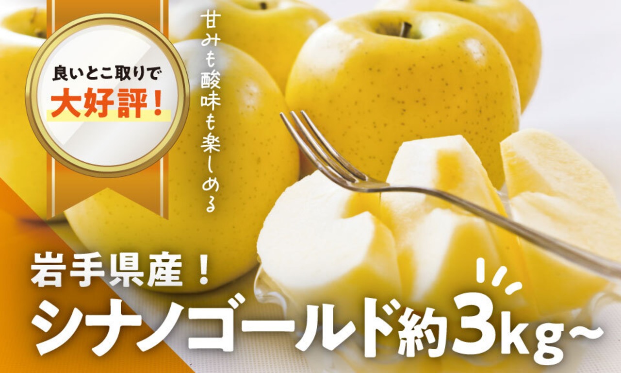 【良いとこ取りで大好評】大きめで食べ応えあり「シナノゴールド」約3kg