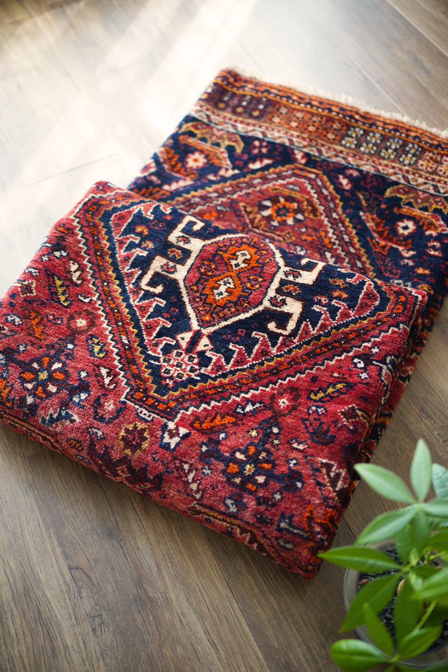 ラグ・カーペット shiraz rug ラグ・カーペット shiraz rug Shiraz Area Rug | Rugs2Go