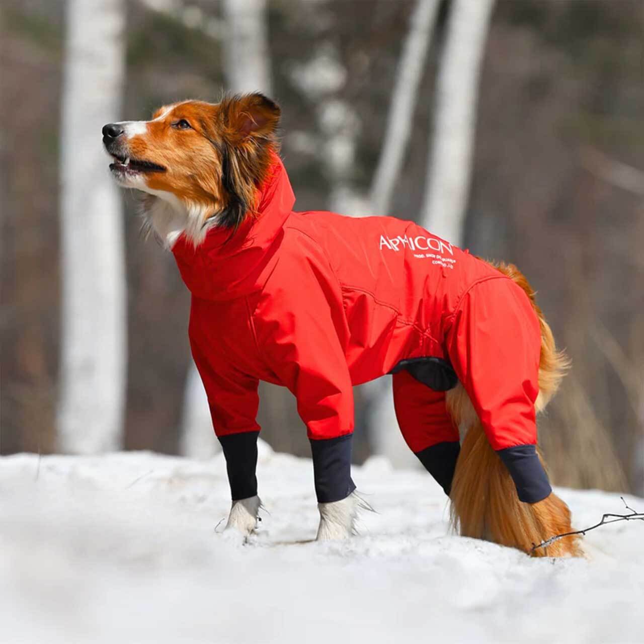 ALPHAICON [アルファアイコン] SNOW DOG GUARD [25SDG] スノードッグ