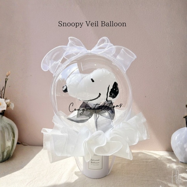 Snoopy Veil Grace
