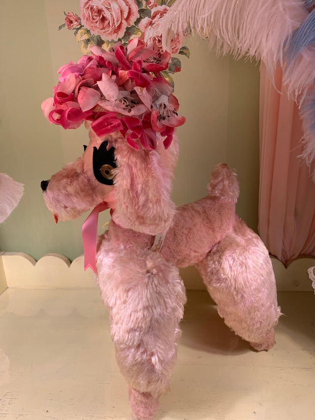 ピンクヴィンテージプード　（201210）