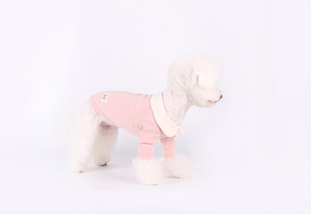 【SALE】creamy kara t-shirt S ~ XL / 犬服 春夏 新作 可愛い 犬の服 トップス 長袖 ドッグウェア ストレッチ 小型犬 中型犬 ペット top106