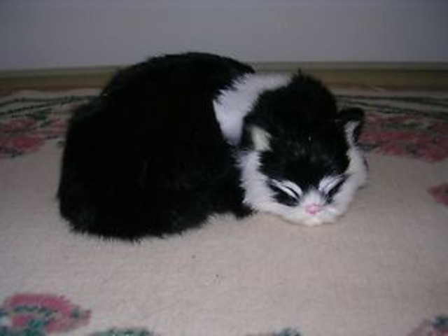 【送料無料】ウサギc306blrealistic lifelike cat sleeping rabbit fur furry animal c306bl