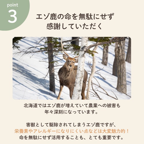 【送料無料】【やわらか】【食いつき抜群】エゾ鹿肉プレミアム生ジャーキー（中）５０×３個セット