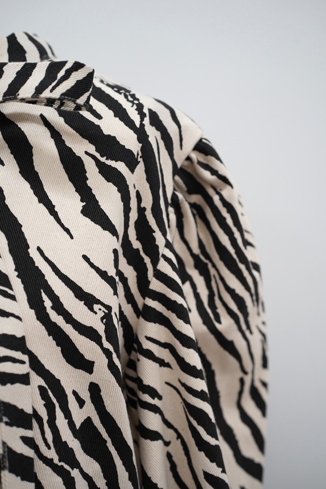 NUIT ZEBRA MINI DRESS