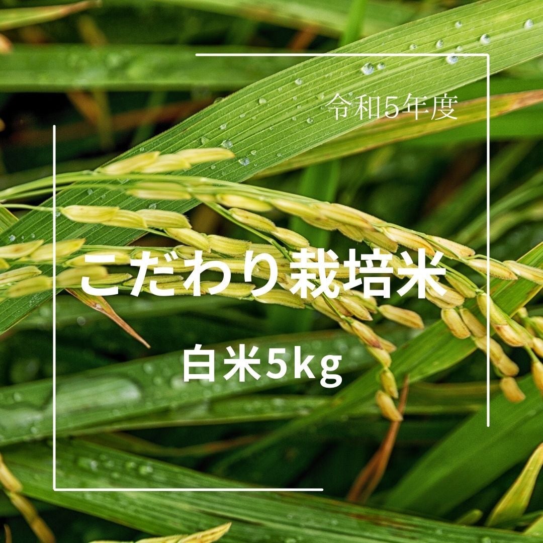 Natural farming 無農薬玄米 自然栽培玄米 酵素玄米 食養学R5オート