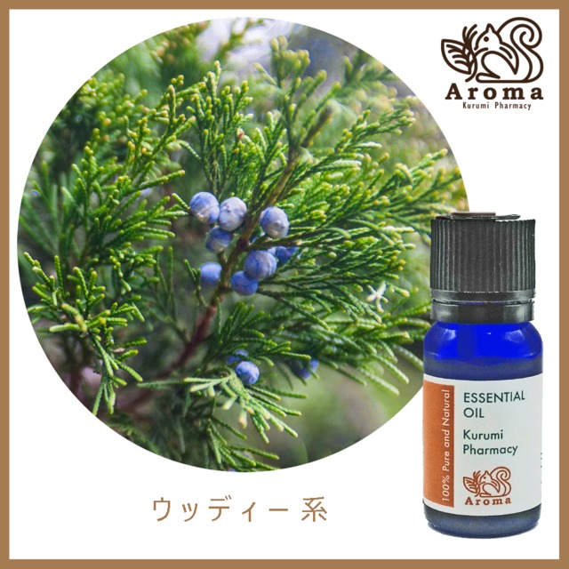 ローズマリー　 10mL    Rosemary