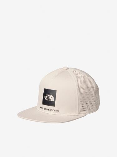 THE NORTH FACE (ノースフェイス) - TECH LOGO CAP (テック ロゴキャップユニセックス)