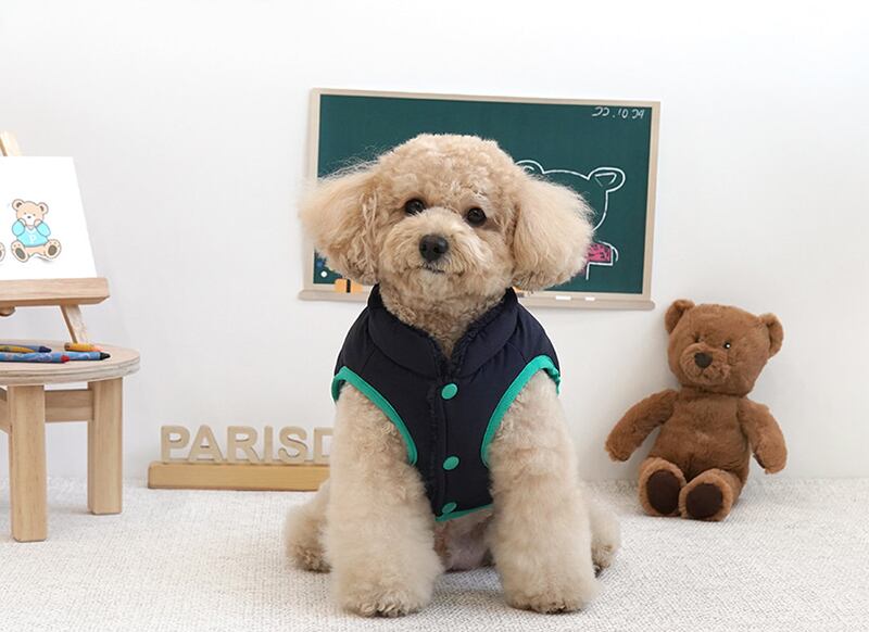 campus bear padding S ~ 2XL 2color  /  犬服 秋冬 新作 アウター リード通し もこもこ ドッグウェア ダウン ベスト 小型犬 中型犬 猫 お揃い シンプル