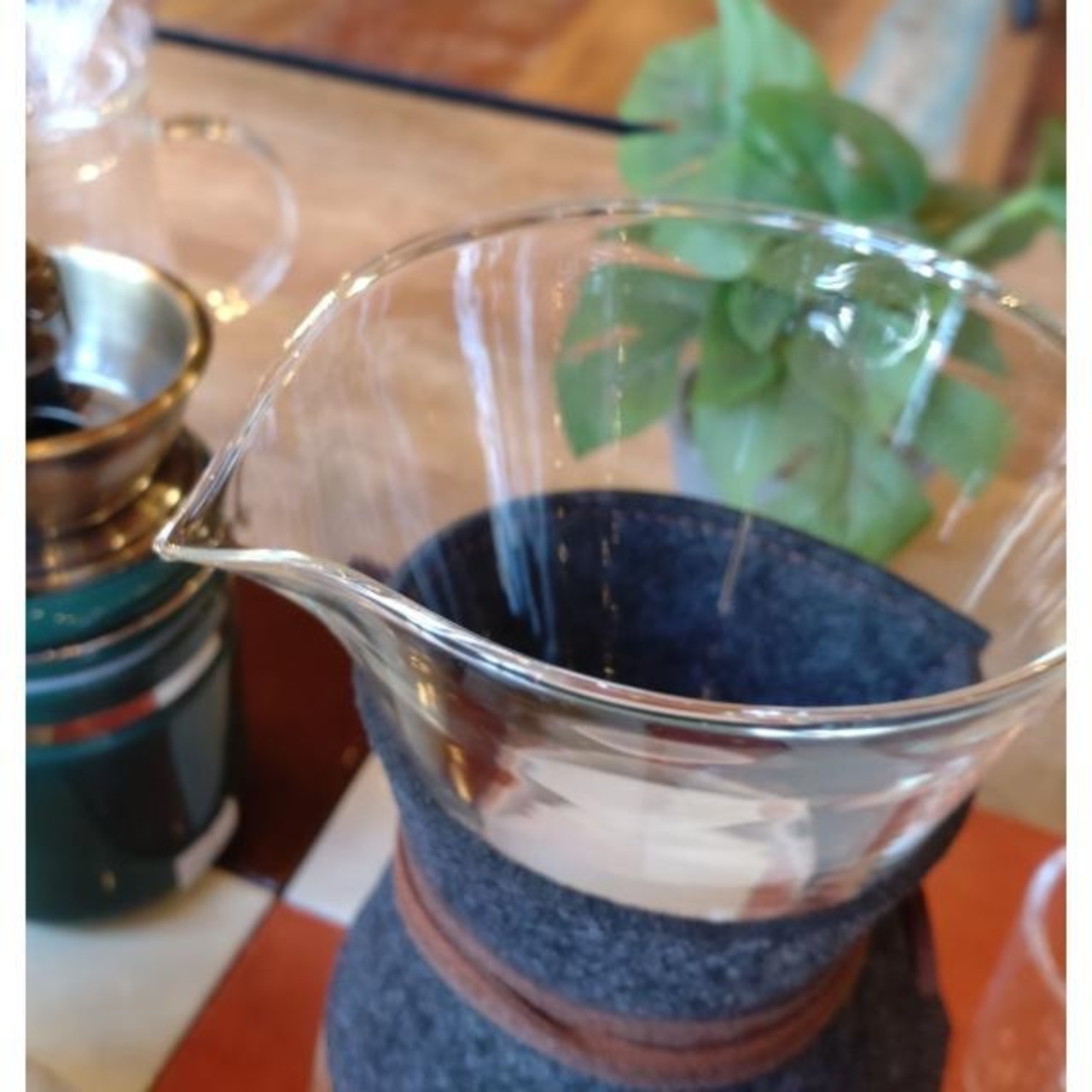 shasta シャスタ コーヒーカラフェ コーヒー ティー ブリューイング デキャンタ ガラス 耐熱 コーヒータイム