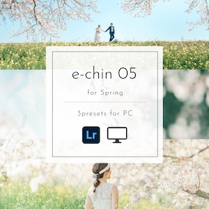 e-chin Presets 05 for Spring【PC用・スマホ不可】
