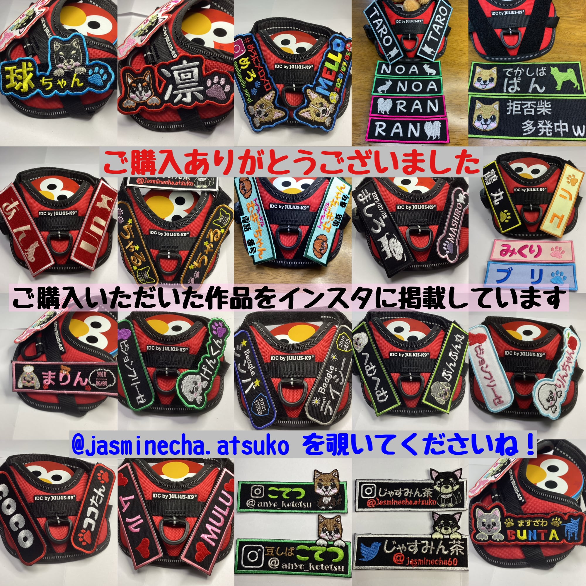 NO 骨形 ユリウスK9 Julius-K9ネームタグ カスタムオーダー うちの子