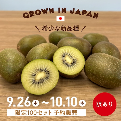 【訳あり・希少な新品種】国産ミコスイートキウイ 2kg（限定100セット）