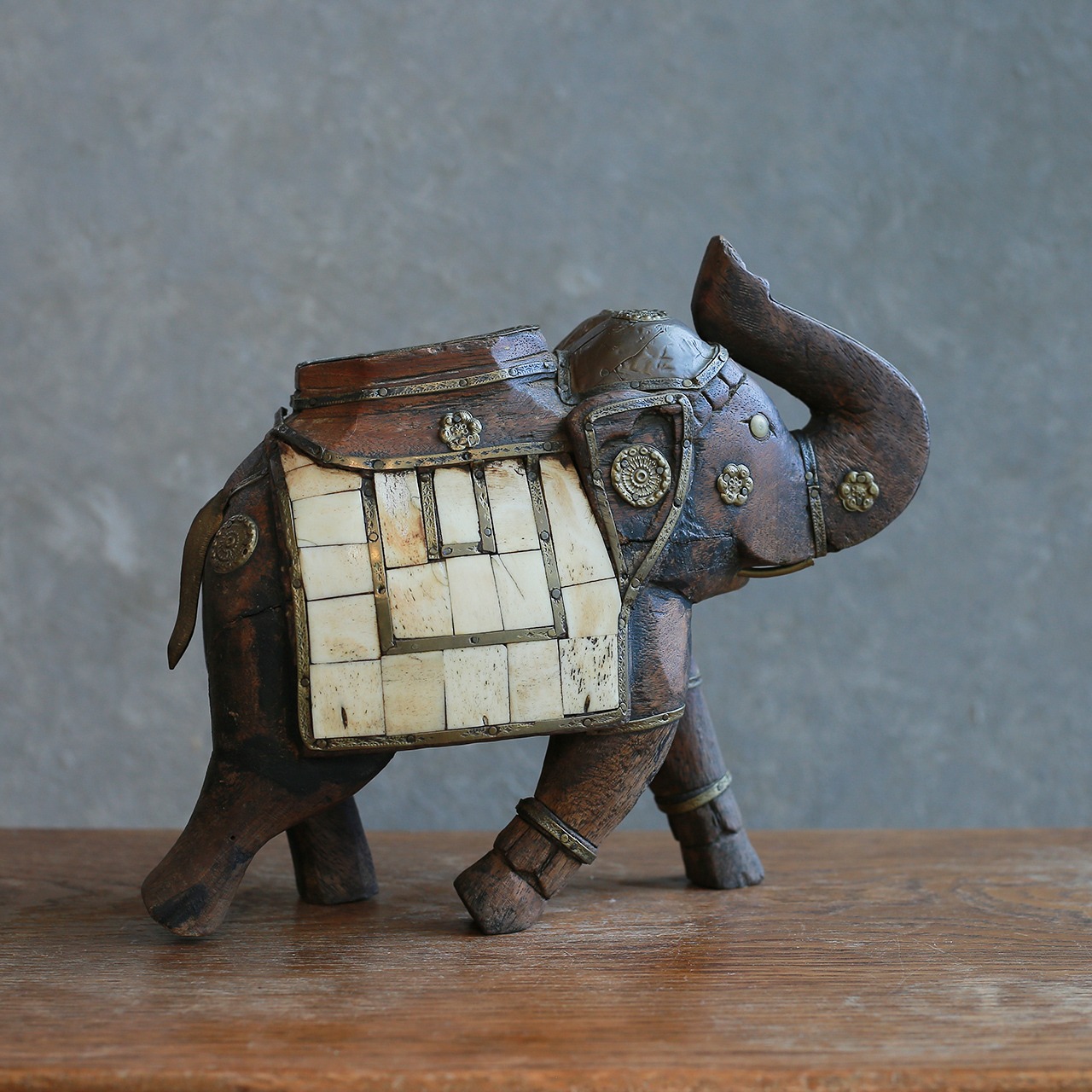 インドからやって来た、プリミティブな象 8