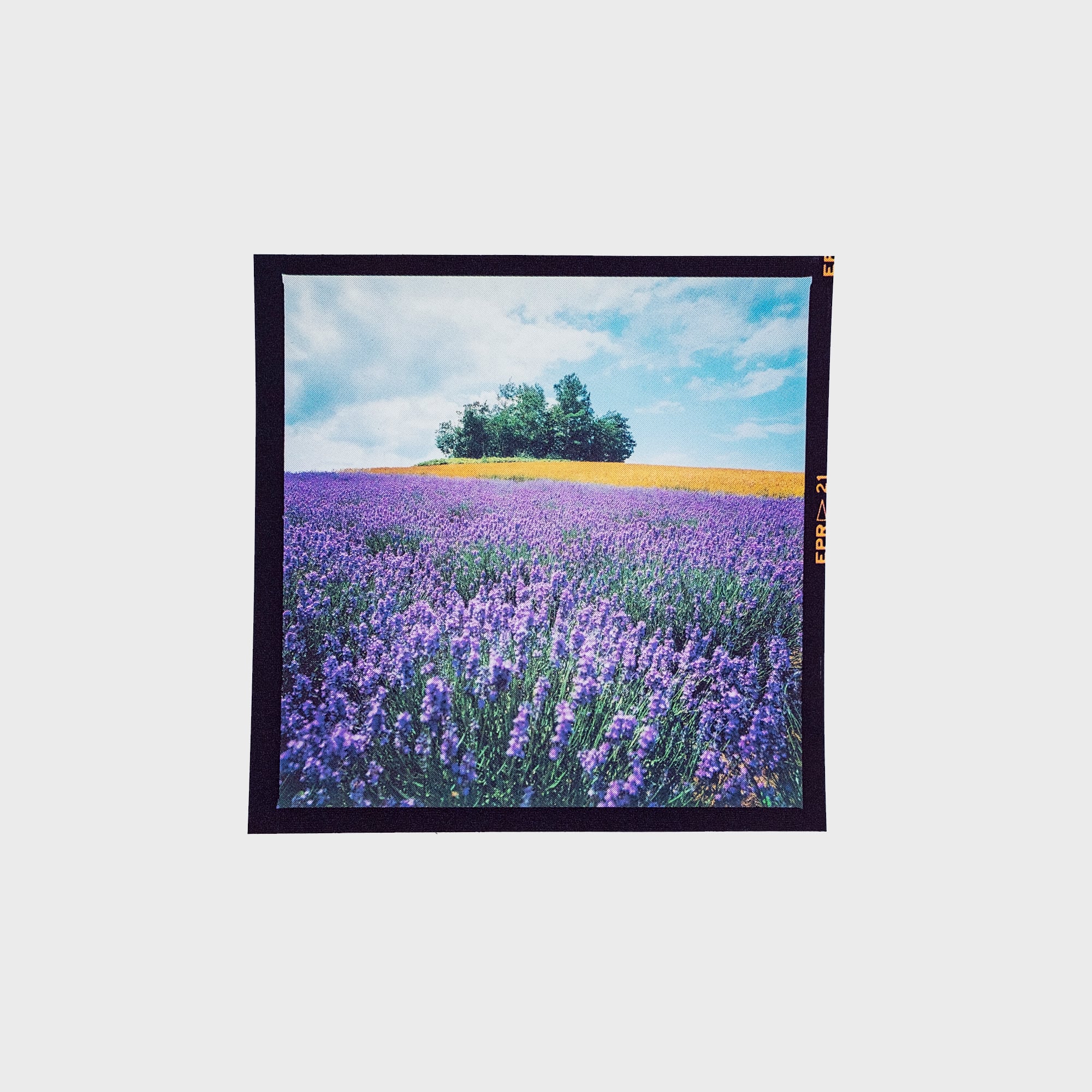 6×6フィルムステッカーB〈6枚セット〉 | 拓真館 TAKUSHINKAN