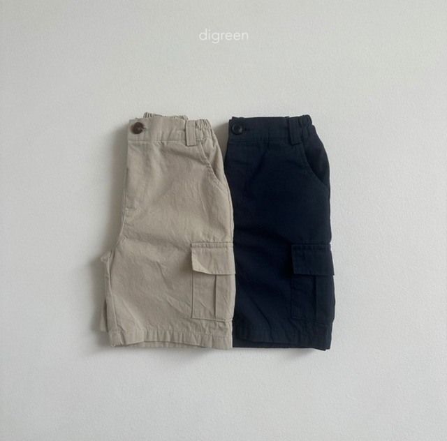 【ラス1】digreen / cargo pants