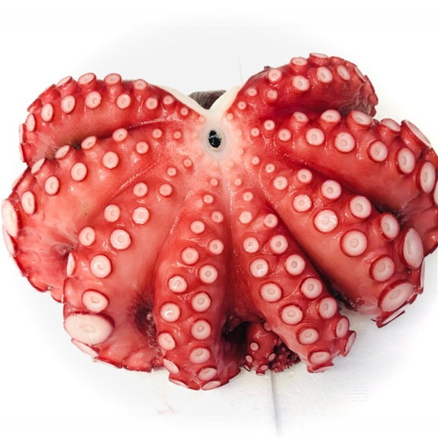 真蛸 たこ 真 タコ ボイル済み 5kg 4杯入り特大サイズ 生食用 刺身 カルパッチョ サラダ おでん 色々な料理にお使いいただけます 冷凍便 うまいもの市場