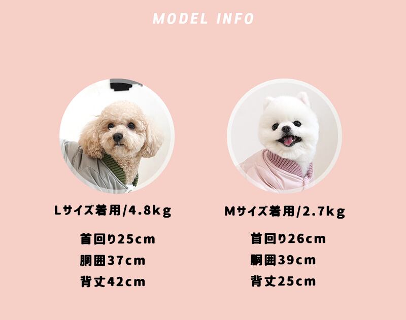 Dog wear ✨ 美品 パーカー ダウンセット S