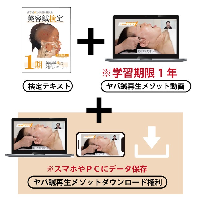 【美容鍼強化】11/13発送分【DＬパック】