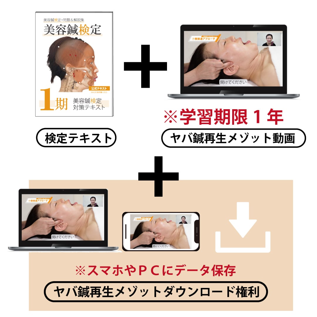 【美容鍼強化】11/13発送分【DLパック】