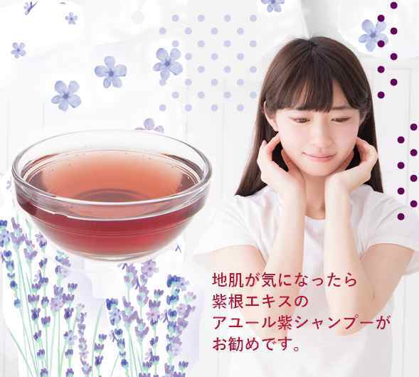 無添加アユール紫シャンプー詰め替え用400ml 本数買いで超割