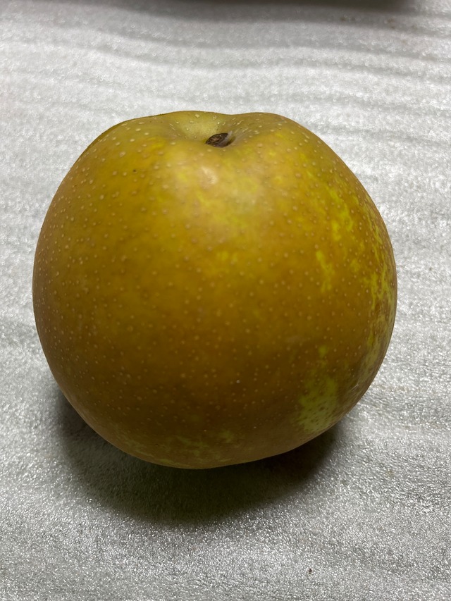 豊水　家庭用　5kg（7個）