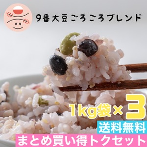 【まとめ買い】９番＊大豆ごろごろブレンド1㎏×３袋