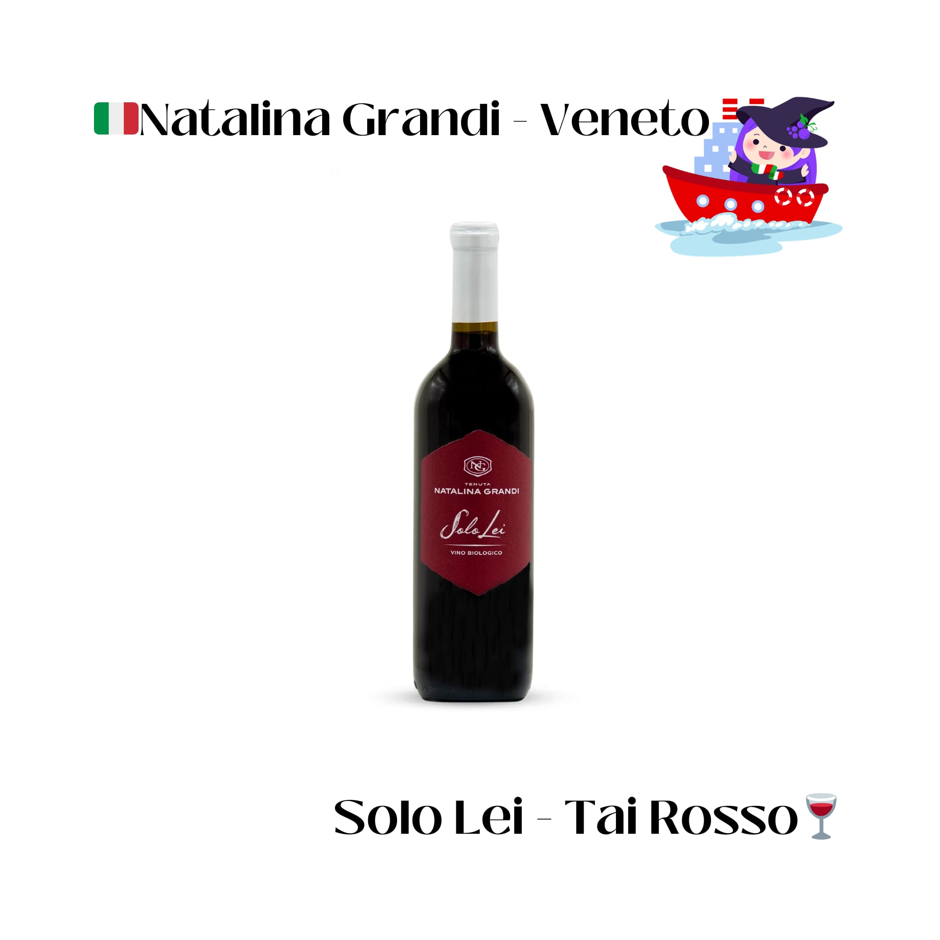 【自社輸入】魔女厳選・新規入港プレミアム6本セット（Barolo Riserva 2016入り／10%OFF）