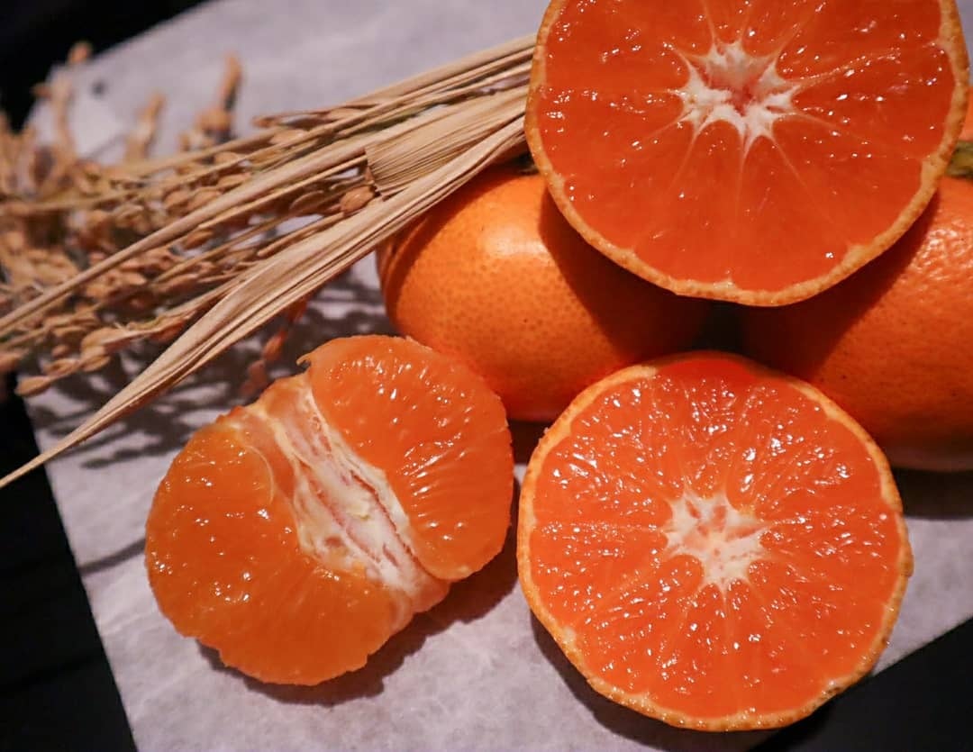 B級品/5kg】 高根島みかん（化学農薬・化学肥料不使用） | LORO farm