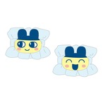 たまごっち吸水リストバンドまめっち(5303521)