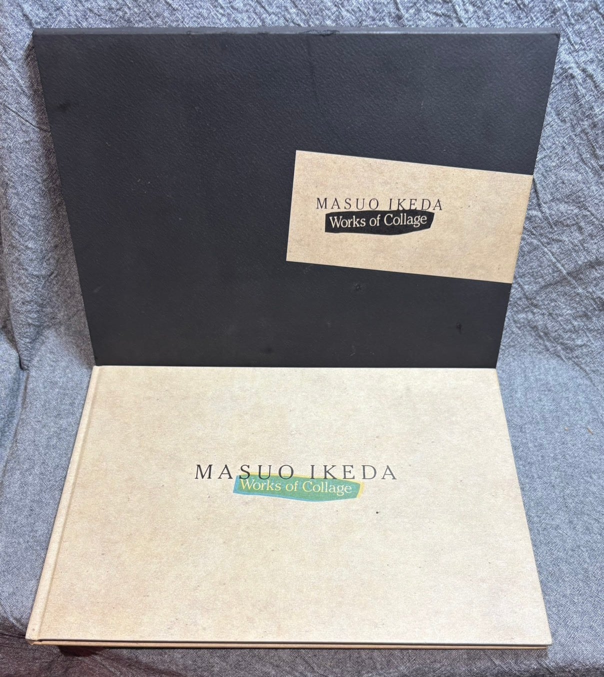 かなかなの七七四十九日かな / 山口方眼子 | あまかわ文庫