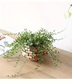 花瓶 木製 水耕栽培 低植物 フラワースタンド ドライフラワー デスク リビング カフェ装飾 おしゃれ 北欧