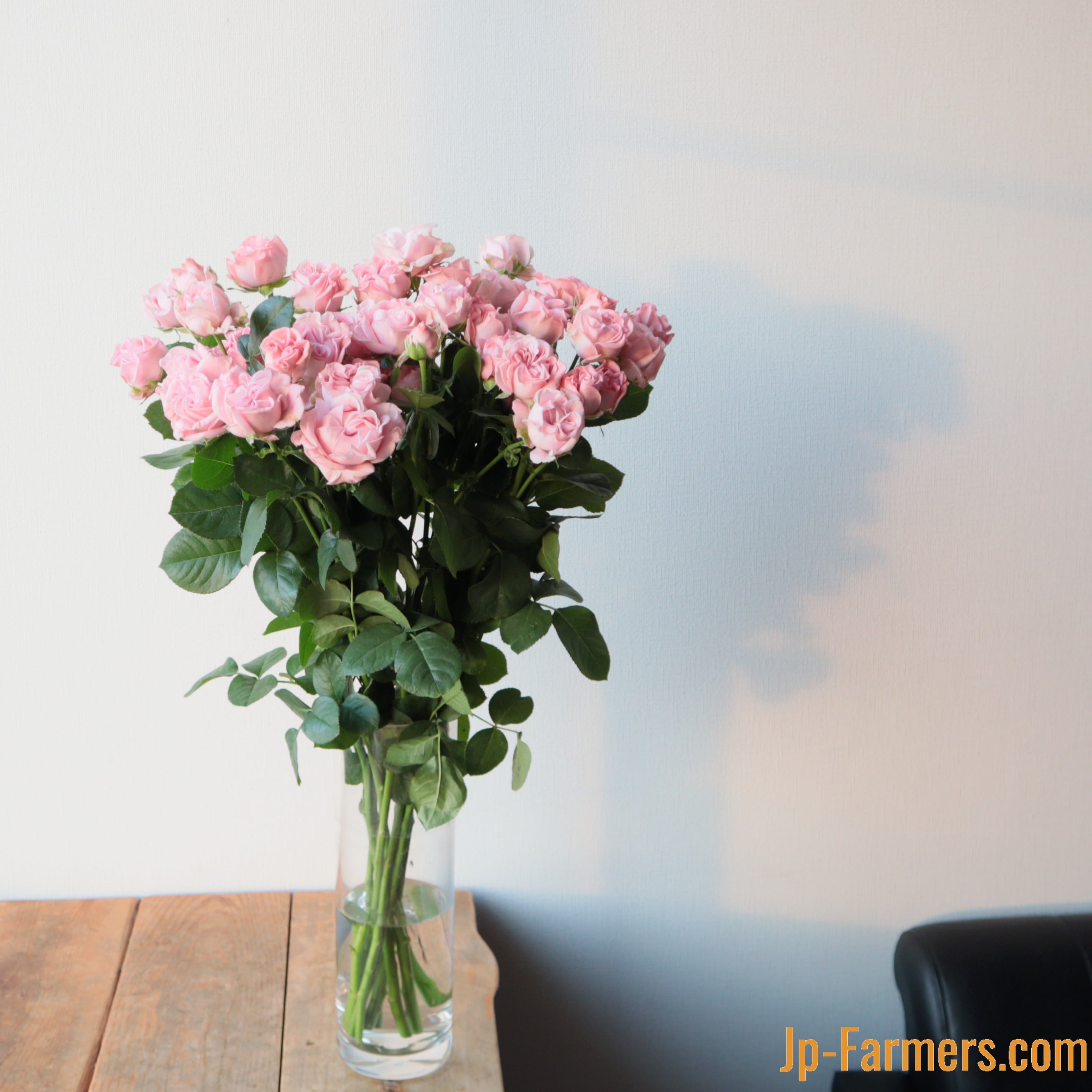 FINEROSE ☆SPバラ 品種名：ジェントルフロウ | 新鮮お花