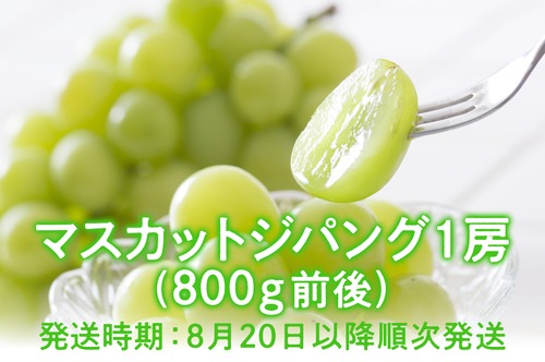 岡山県産「奇跡の葡萄」マスカットジパング（800g前後）