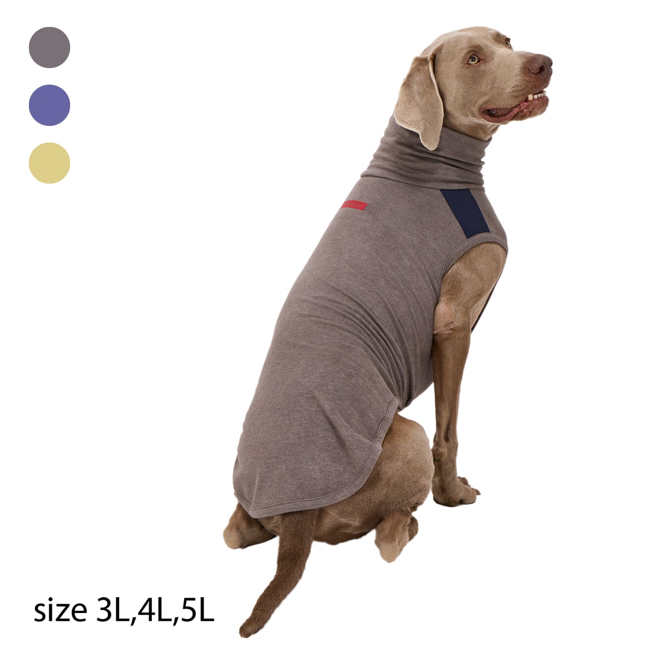 MOIST HIGH NECK T(3L.4L.5L) モイストハイネックT