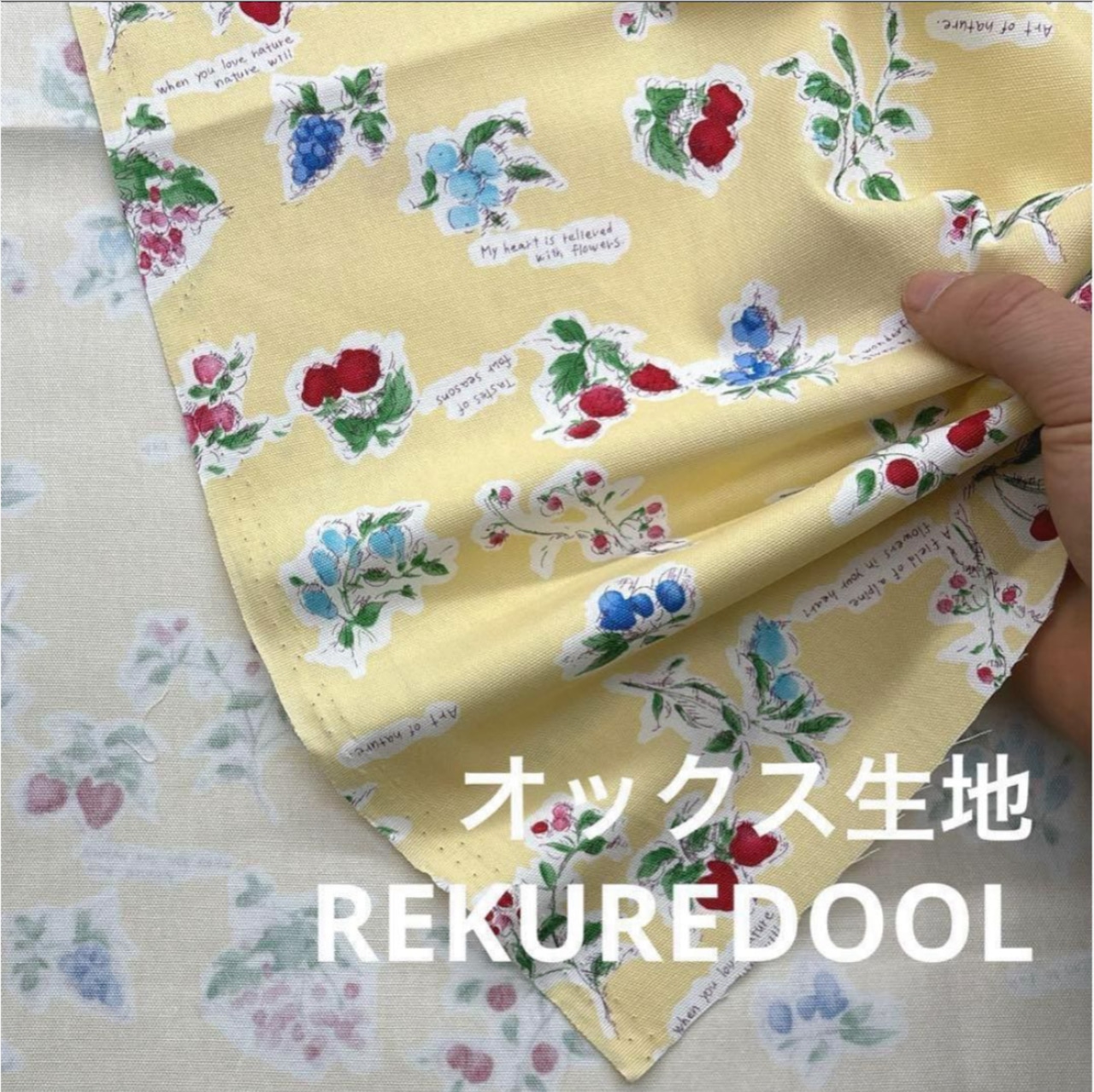 TB889◆2m◆M◆綿100%オックス生地◆YUWA◆