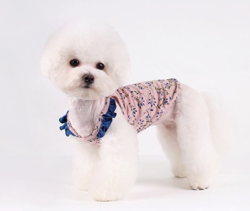 【SALE】フルーツフリルタンクトップ S ~ XL 2color /  犬服 夏 新作 おしゃれ ドッグウェア 可愛い 犬の服 小型犬 中型犬 ペット用品 ペット洋服