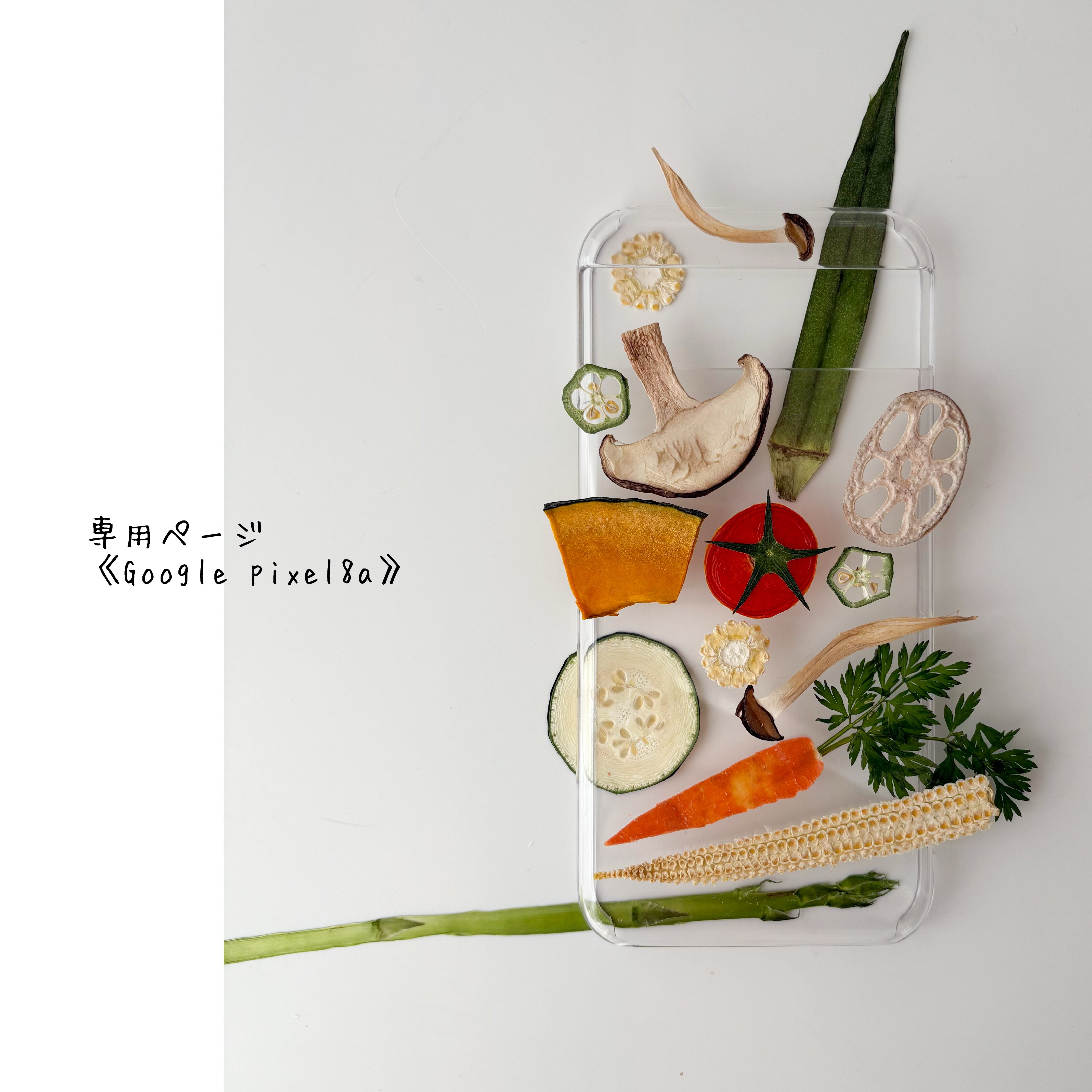 押しフルーツ Poppy_bee様専用No2、No4 オーダーデザイン | astin muhler | 押し花・押しフルーツの全機種対応