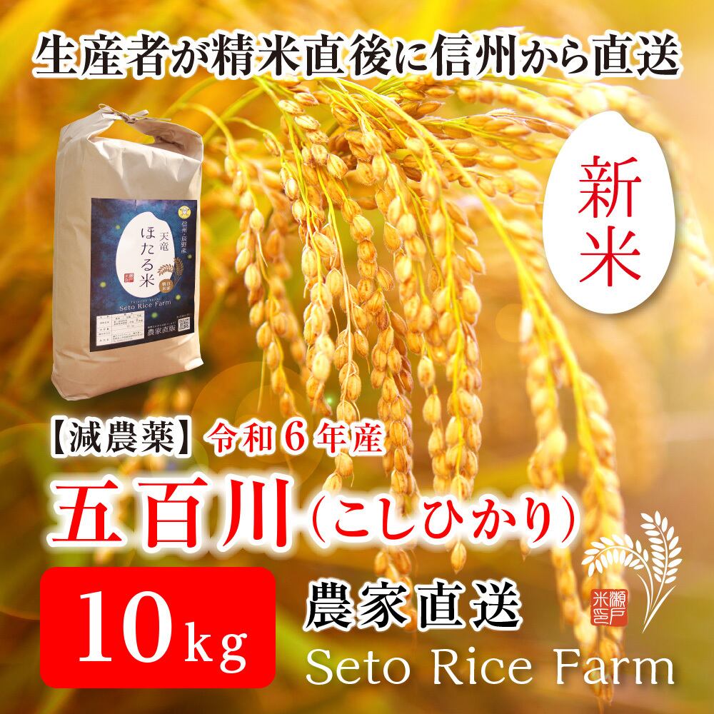 食品 新米 無農薬のコシヒカリ10kg 玄米5kg✖️2袋 玄米（ミネラル