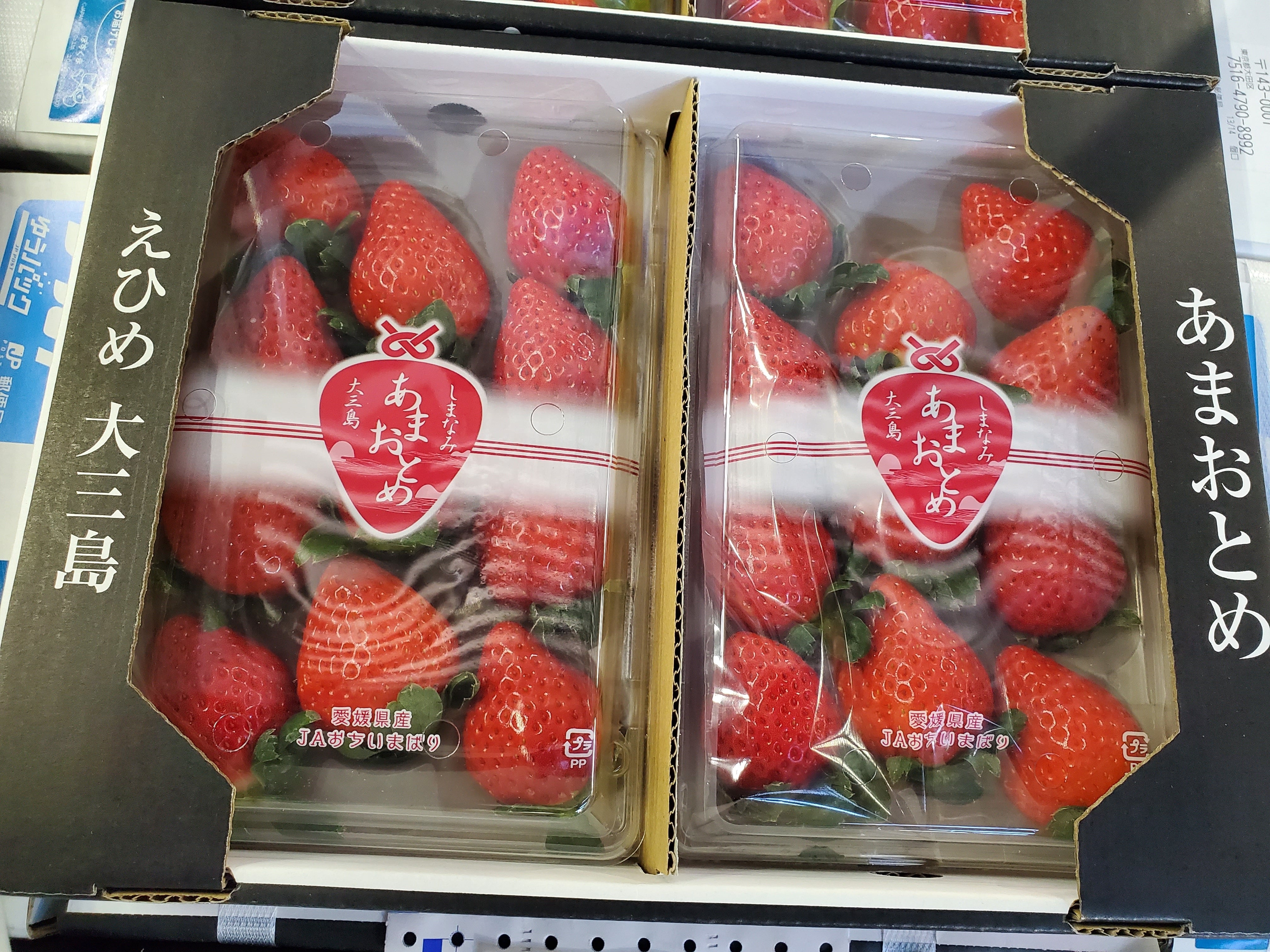 希少】愛媛産 あまおとめ 2pk入 寒締め栽培 高糖度いちご | ふるさとの