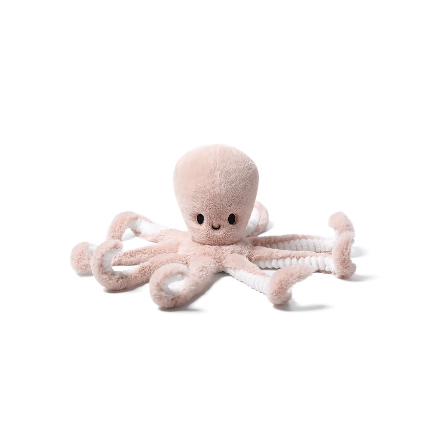Clever Octopus_MC400150