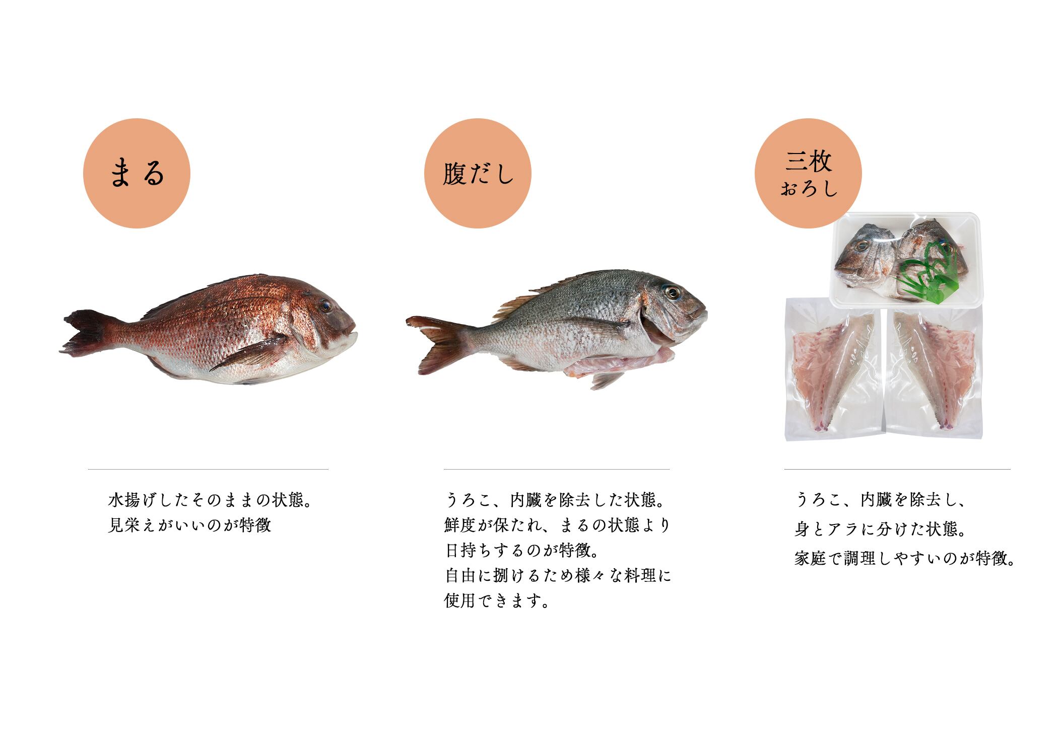 お歳暮ギフト22 長崎県産寒ブリ A F 対馬 産地直送 丸徳水産 公式 通販サイト まるとくオンラインショップ