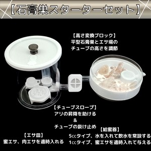 平型石膏巣｜スターターセット