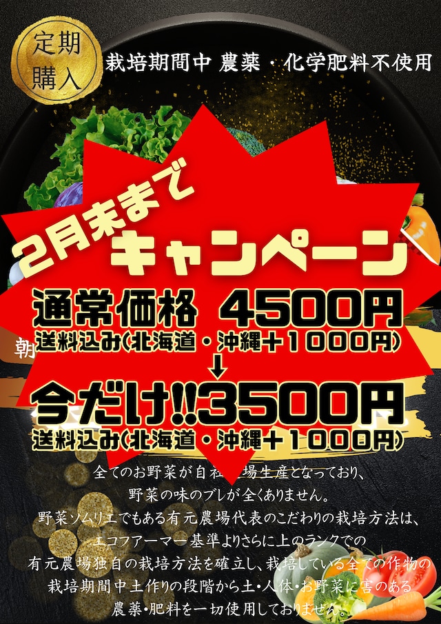 【隔週２週 定期便５種おひとり様用】有元農場『極・お野菜』送料込み(北海道・沖縄＋1000円)