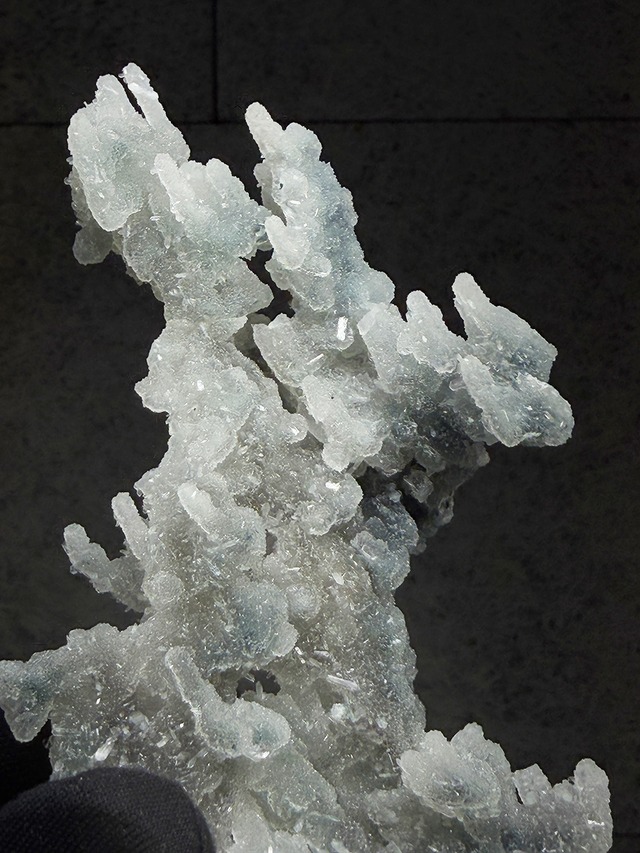 ブルーカルセドニーコーラル【ML-0176】インド