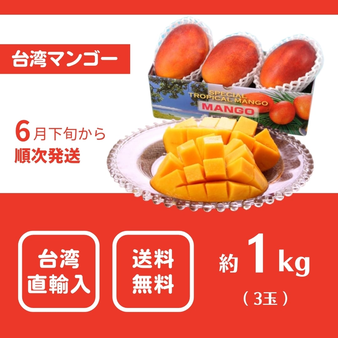 台湾直輸入・送料無料】台湾マンゴー約1kg（3玉）お試しやちょっとした